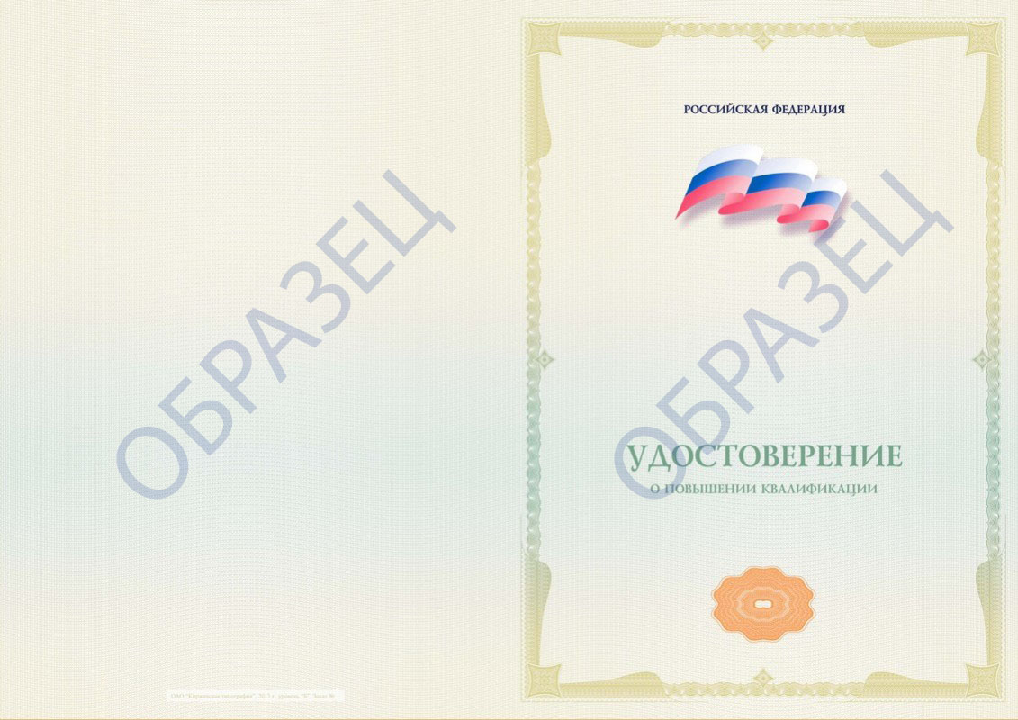 ОБРАЗЕЦ ДИПЛОМА О ПРОФЕССИОНАЛЬНОЙ ПЕРЕПОДГОТОВКЕ ГОСУДАРСТВЕННОГО ОБРАЗЦА
